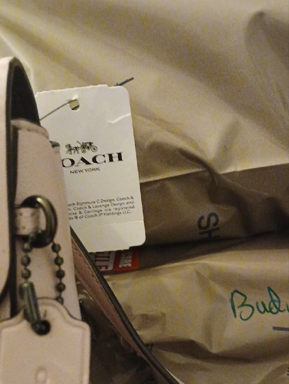 Coach stylish pale